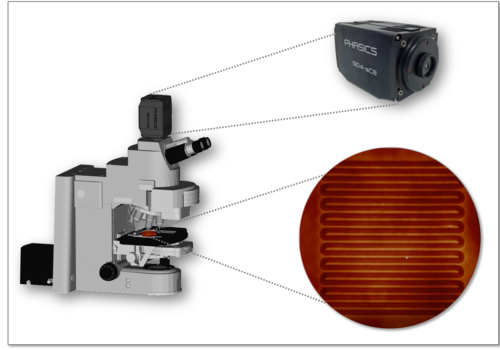 Index of refraction mapping with SID4 sC8 quantitative phase imaging camera integrated on an optical microscope