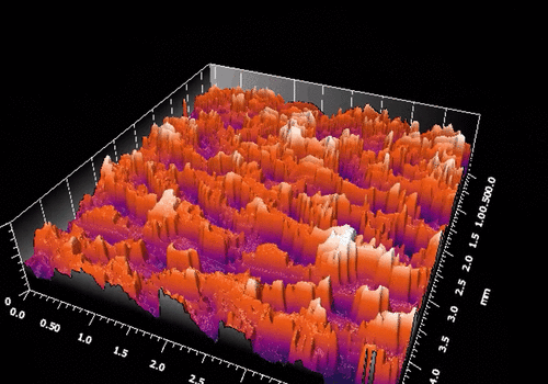 Surface map of a Micro-structured reflective surface measured with QWSLI (SID4 wavefront sensor)
