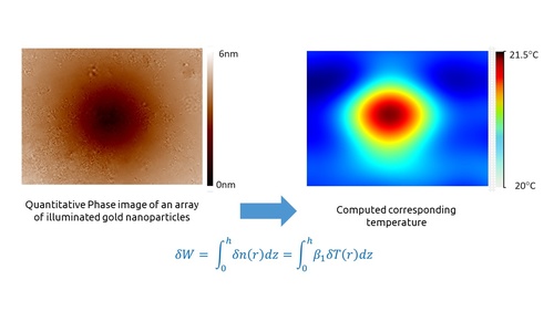 From quantitative phase to temperature calculation steps