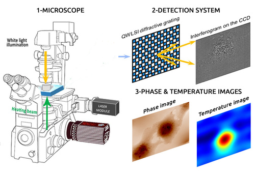 Phasics Quantitative Phase imaging camera is used to measure temperature distribution at the microscale